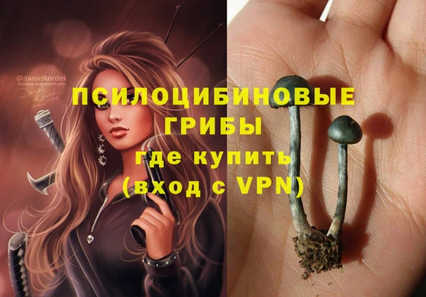 a pvp Богородицк