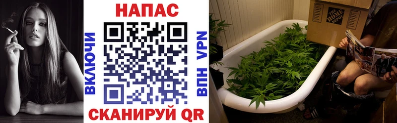 Каннабис гибрид  darknet наркотические препараты  Химки 